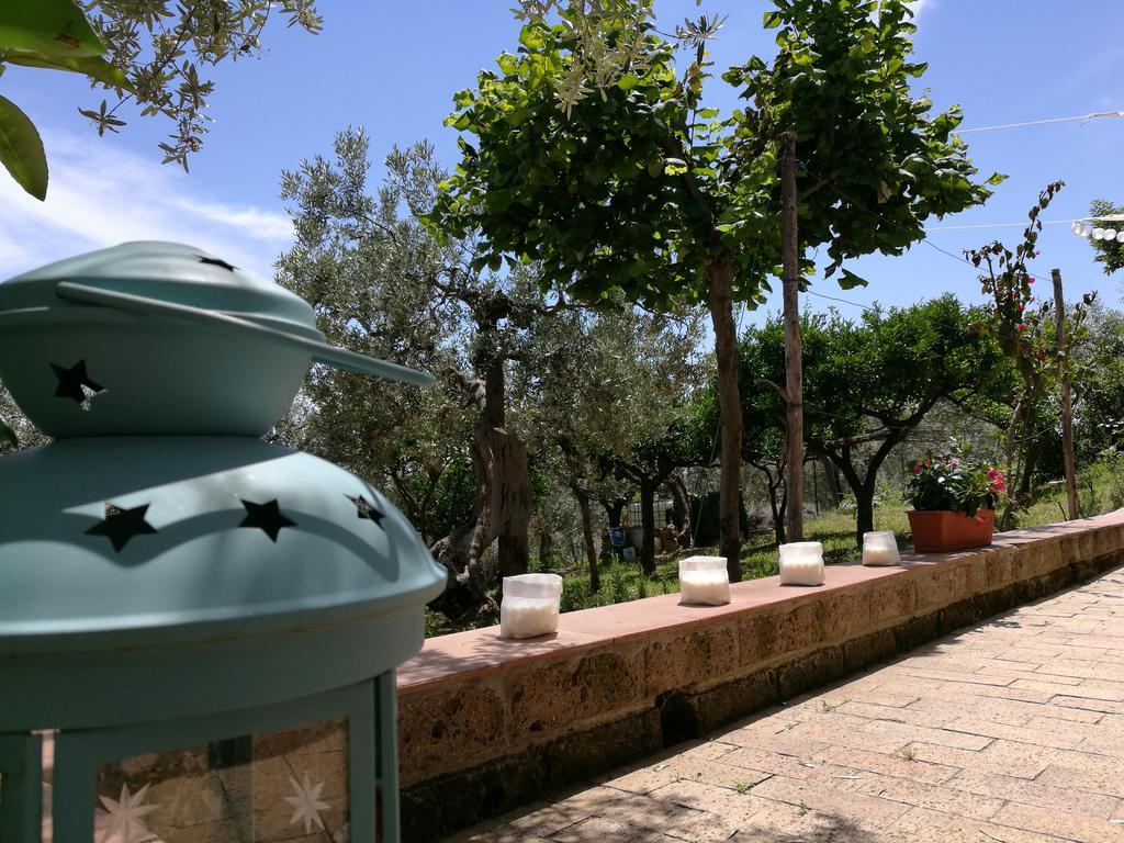 Villa Rosaria Васто Екстериор снимка